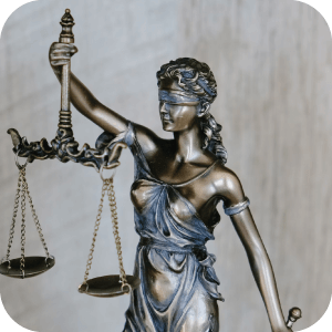 Courts and law offices partnering with E-Lemachzer for IT solutions