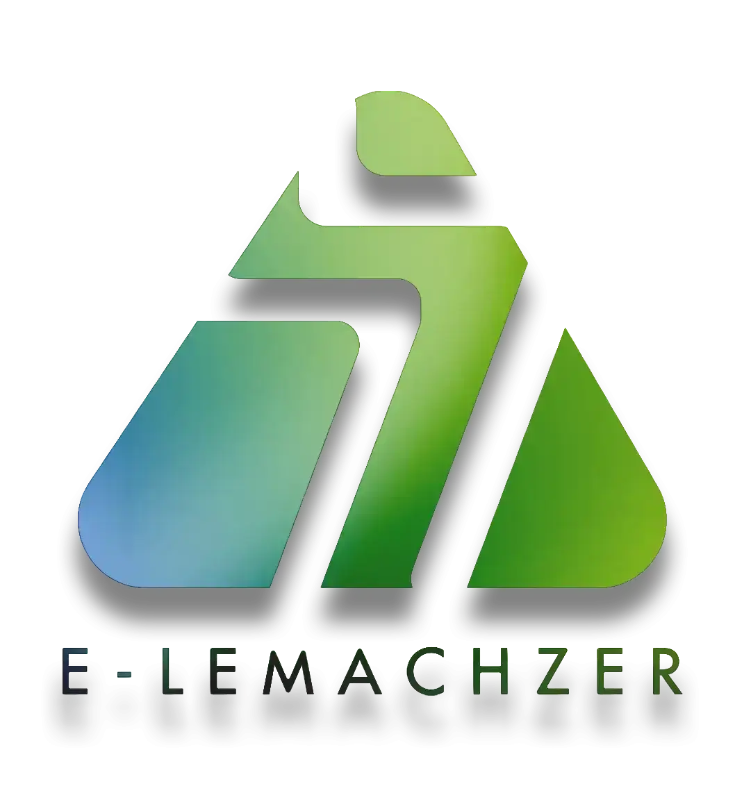 E-lemachzer Electronic recycling in Florida for your company